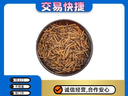昭通市永善礼品回收虫草.jpg